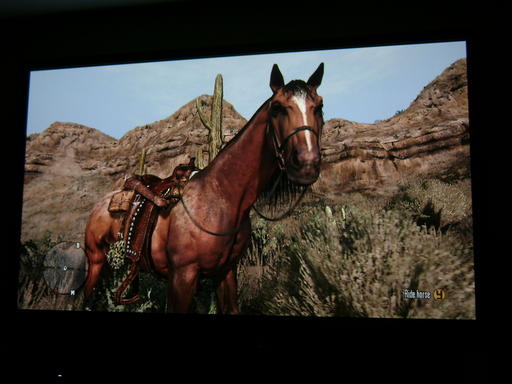 Red Dead Redemption - Red Dead Redemption скриншоты